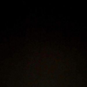 Meet your Posher, Layla